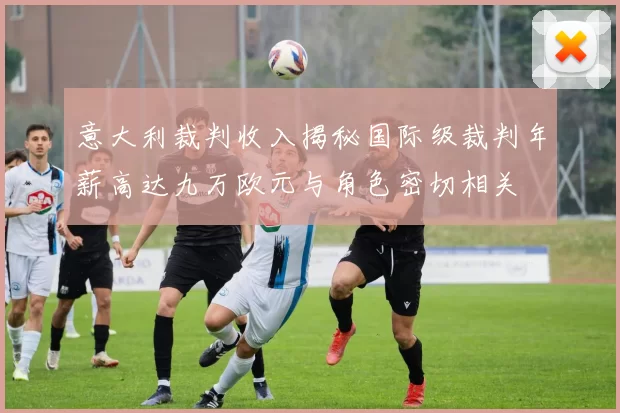 意大利裁判收入揭秘国际级裁判年薪高达九万欧元与角色密切相关
