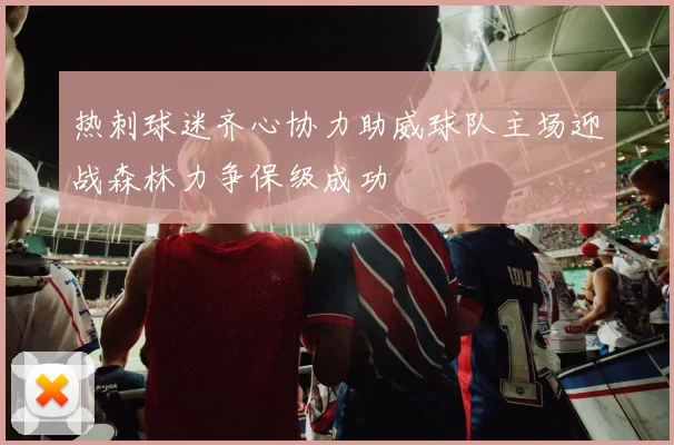 热刺球迷齐心协力助威球队主场迎战森林力争保级成功
